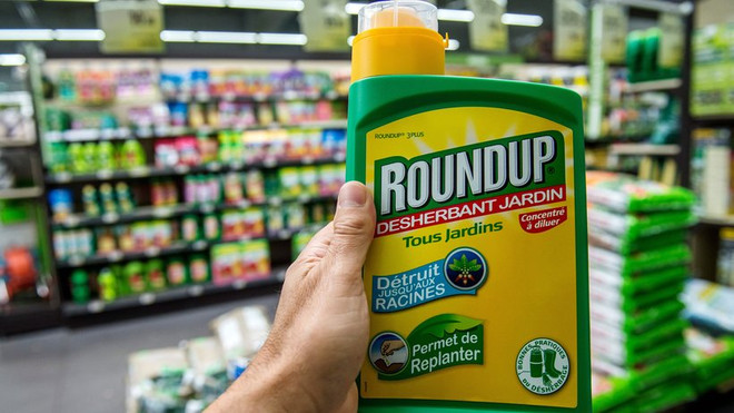 Liên minh châu Âu đánh giá lại thuốc trừ sâu Glyphosate ảnh 1