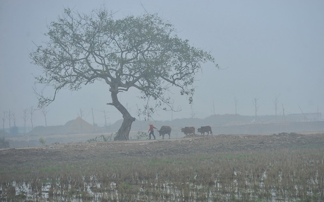 Xuất hiện mưa, sương mù và rét trong Ngày Quốc tế phụ nữ 8/3 ảnh 1