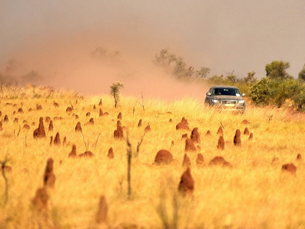 Australia trải qua mùa Đông năm 2017 nóng nhất trong lịch sử ảnh 1