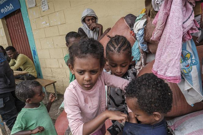 Dân số đạt 8 tỷ người: Bài toán hòa hợp giữa con người với thiên nhiên ảnh 2