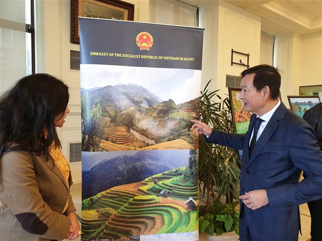 Tăng cường quảng bá văn hóa Việt Nam với bạn bè Ai Cập ảnh 1