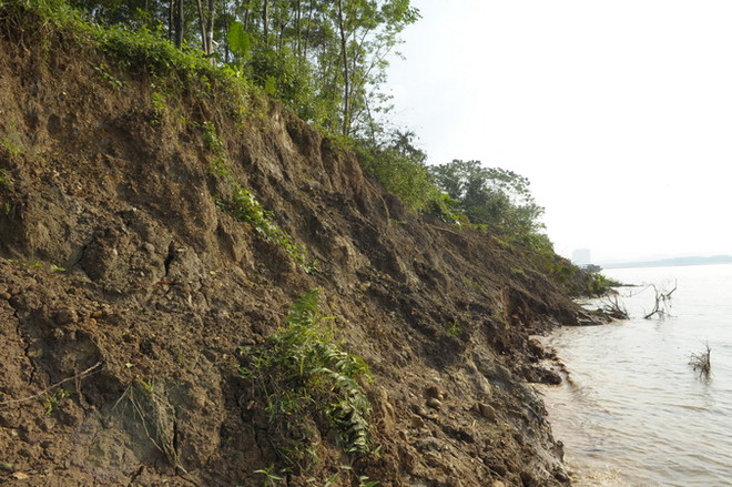 Hà Nội: Giải pháp trước mắt khắc phục sự cố sạt lở đê tại Ba Vì ảnh 2