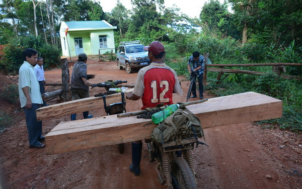 Vận chuyển gỗ không rõ nguồn gốc, bị chính khúc gỗ đè chết tại chỗ ảnh 1