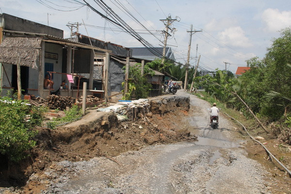 Long An: Sạt lở nghiêm trọng trên tuyến đê bao sông Vàm Cỏ ảnh 1