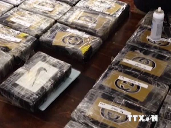 Tây Ban Nha thu giữ 600 kg cocaine trên tàu biển của Séc ảnh 1