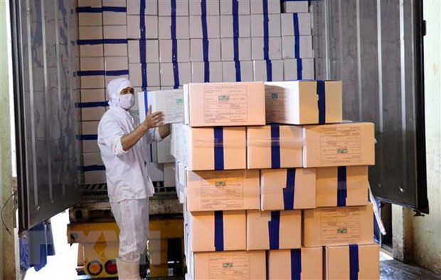Lô sản phẩm tôm đông lạnh của Công ty Thông Thuận được vận chuyển lên xe chở xuất khẩu sang thị trường EU. (Ảnh: Công Thử/TTXVN) Hiệp định EVFTA: Sức bật mới cho ngành thủy sản Việt Nam ảnh 2