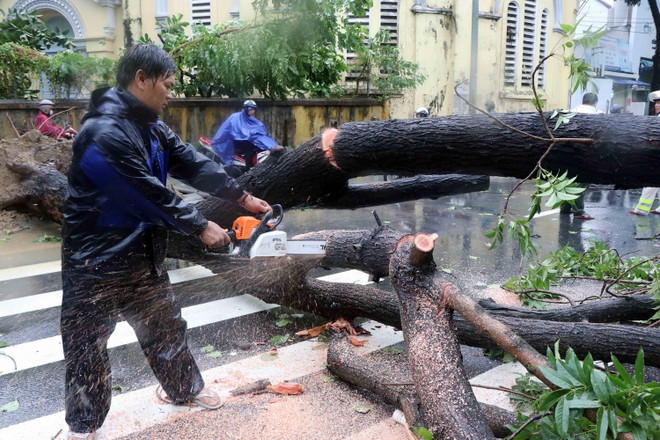 Theo dõi chặt chẽ diễn biến bão số 5 và mưa lũ để chủ động ứng phó ảnh 1