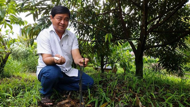 Những nông dân tiên phong trong chuyển đổi mô hình sản xuất ảnh 1