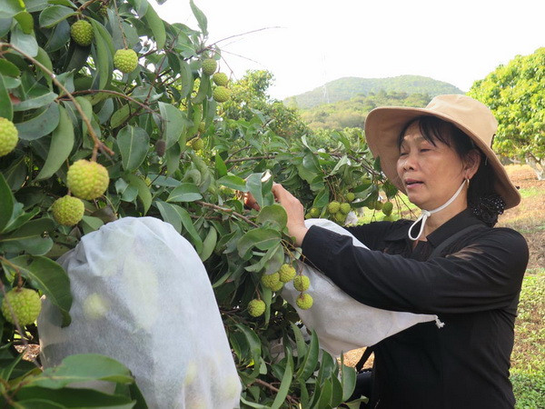 Nắng nóng hầu khắp Tây Bắc và Đông Bắc Bộ, có nơi hơn 38 độ C ảnh 1