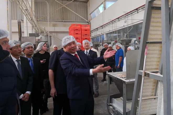 Tỉnh Hải Dương tìm kiếm cơ hội xuất khẩu nông sản sang Mexico ảnh 6