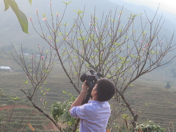 Nhiệt độ ở Lào Cai xuống mức cực tiểu, Sa Pa còn gần 7 độ C ảnh 1