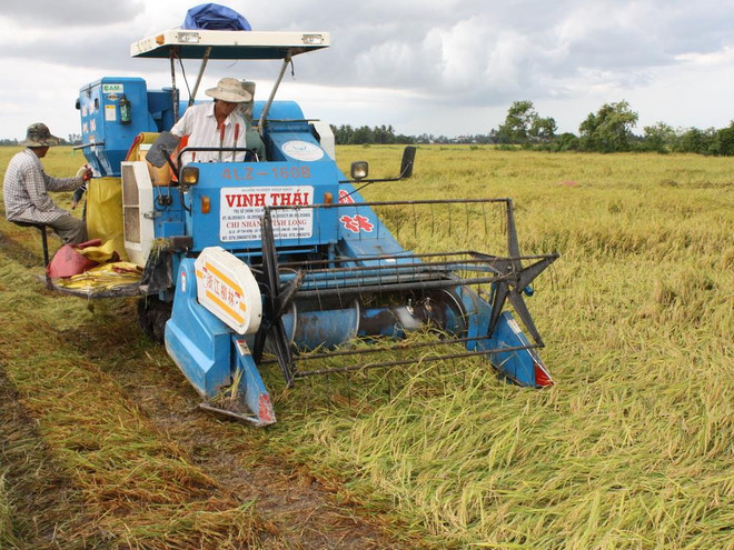 Bổ sung hơn 321 tỷ đồng bảo vệ và phát triển đất trồng lúa ảnh 1