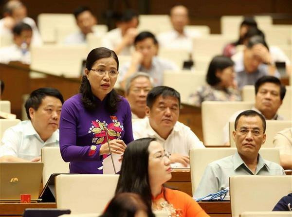 Chất vấn những vấn đề bức xúc, hướng tới các giải pháp thiết thực ảnh 2