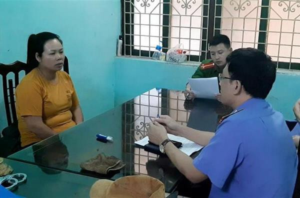 Nam Định: Triệt phá đường dây mua bán, vận chuyển ma túy số lượng lớn ảnh 1