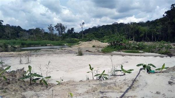 Có hay không việc khai thác quặng trong khu vực do quân đội quản lý? ảnh 1