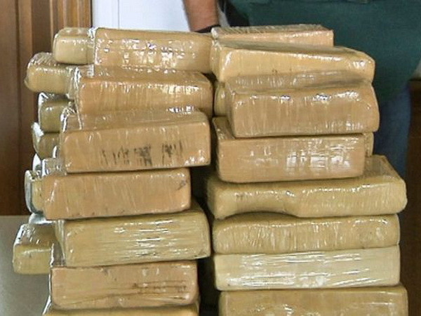 Malaysia bắt giữ lượng ma túy kỷ lục trong năm 2013 ảnh 1