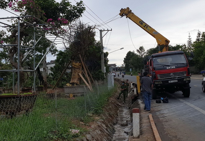 Lâm Đồng: Xe cẩu cây xanh vướng dây điện, 2 người trong cabin bị bỏng ảnh 1