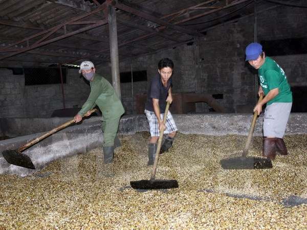 Đắk Lắk: Xử phạt 80 cơ sở không đảm bảo an toàn thực phẩm ảnh 1