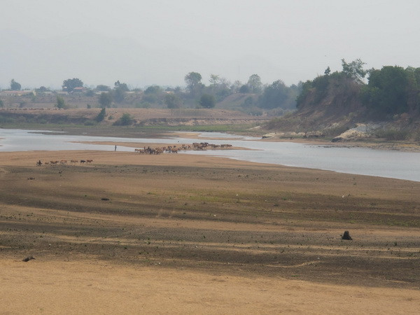 Lượng nước trong các hồ chứa ở Bình Thuận chỉ còn khoảng 18% ảnh 1