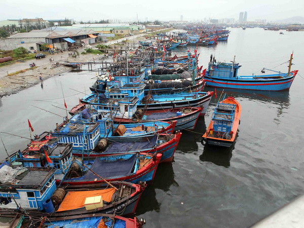 Gần sáng 23/6, tâm bão số 1 đi vào vùng biển Đông Bắc vịnh Bắc Bộ ảnh 1