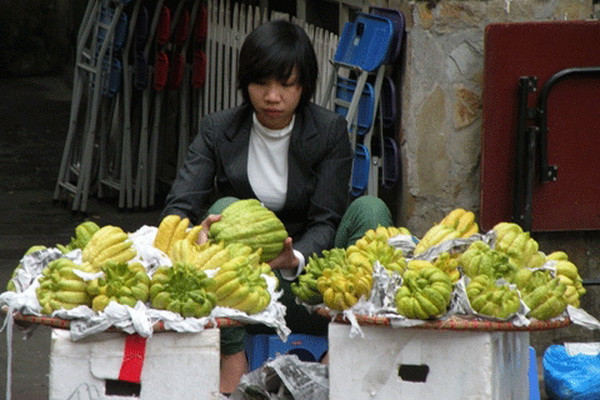 Mâm ngũ quả: Biểu tượng triết lý-tín ngưỡng-thẩm mỹ ngày Tết ảnh 4