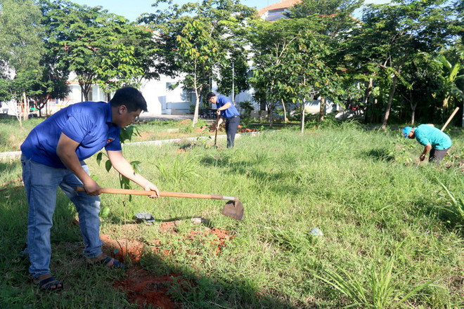 Triển khai trồng 1.000 cây sao đen tại Trung tâm bảo trợ xã hội tỉnh Bình Thuận. (Ảnh: Nguyễn Thanh/TTXVN) Bài 2: Tạo giá trị lâu bền cho phát triển du lịch xanh ở Bình Thuận ảnh 2