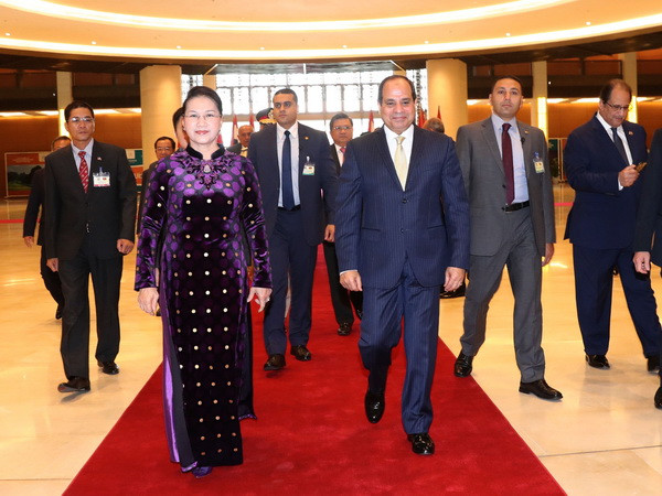 Việt Nam luôn mong muốn thúc đẩy hơn nữa mối quan hệ với Ai Cập ảnh 2