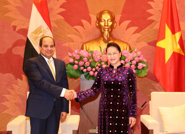 Việt Nam luôn mong muốn thúc đẩy hơn nữa mối quan hệ với Ai Cập ảnh 1