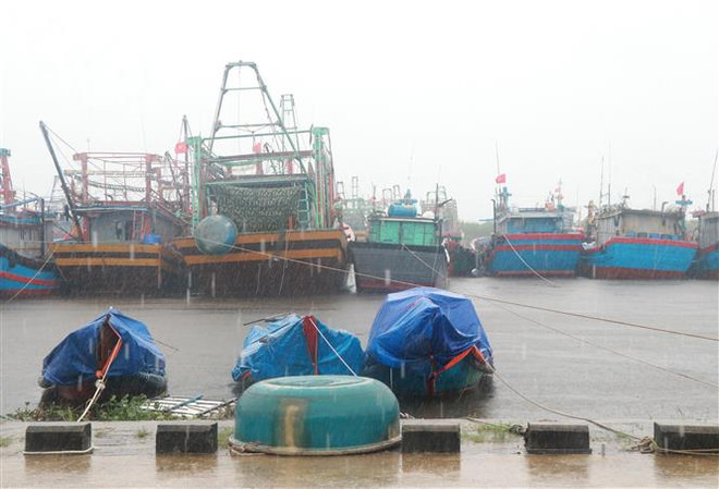 Thái Bình cấm biển từ 6 giờ ngày 19/10 ứng phó với bão số 5 ảnh 1