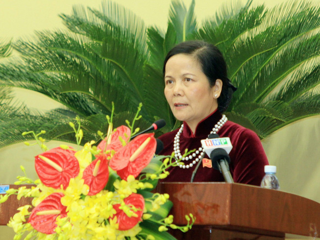 Thủ đô sẽ vượt khó khăn, thực hiện thắng lợi nhiệm vụ năm 2015 ảnh 1