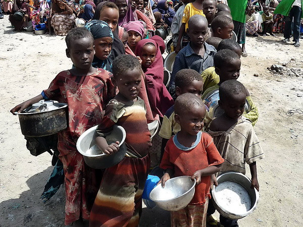 Chìa khóa để cải thiện tình trạng thiếu dinh dưỡng và béo phì ảnh 1