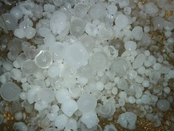 Xuất hiện mưa đá kéo dài kèm giông lốc trên địa bàn Lào Cai ảnh 1