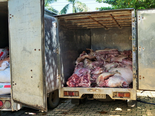 Phạt 11 triệu đồng chủ cơ sở tuồn thịt lợn bẩn vào chợ Bình Dương ảnh 1