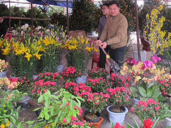 Trung tâm giao dịch hoa sẽ giúp ngành hoa phát triển bền vững ảnh 1