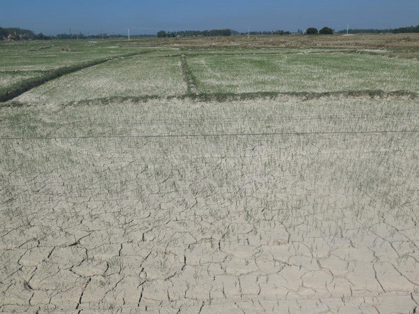 Người dân Nghệ An đang phải gồng mình chống lại hạn hán ảnh 2