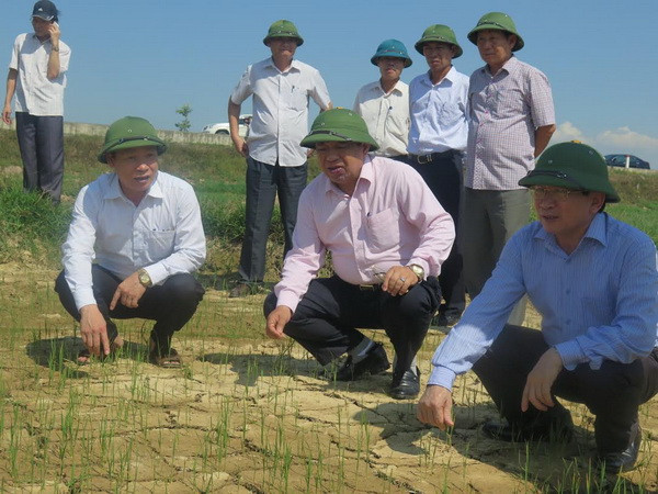 Người dân Nghệ An đang phải gồng mình chống lại hạn hán ảnh 1