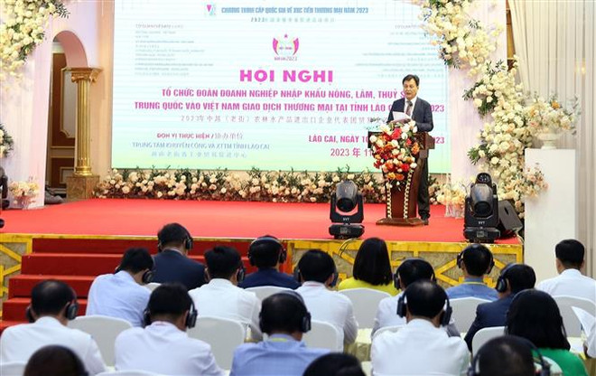 Xúc tiến xuất, nhập khẩu nông, lâm, thủy sản giữa Lào Cai và Vân Nam ảnh 1