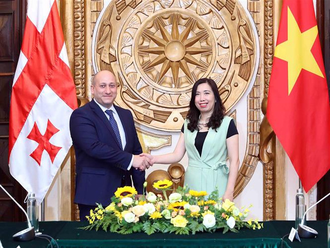Việt Nam mong muốn tiếp tục phát triển hợp tác nhiều mặt với Gruzia ảnh 2