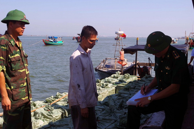 Quảng Ninh liên tiếp bắt giữ ba vụ vận chuyển cá nhập lậu ảnh 2