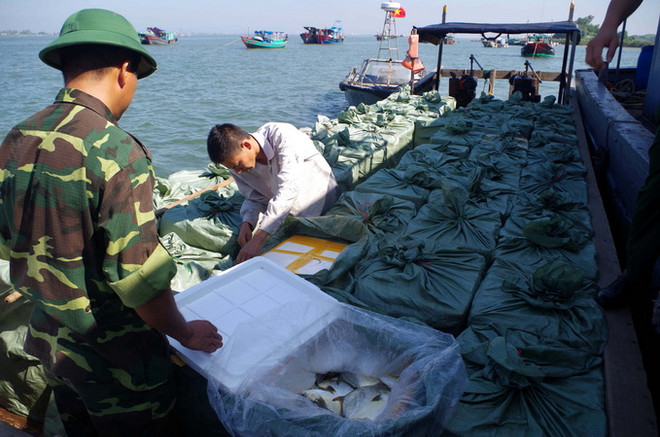 Quảng Ninh liên tiếp bắt giữ ba vụ vận chuyển cá nhập lậu ảnh 1