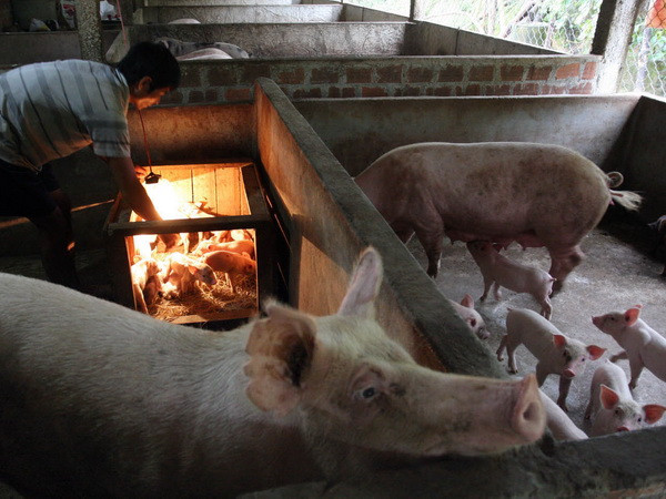 45 năm theo Di chúc Bác: Không ngừng chăm lo đời sống nhân dân ảnh 1