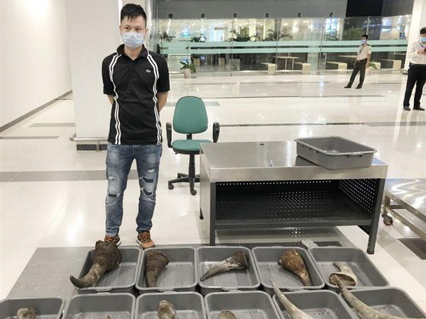 Bắt gần 30kg nghi sừng tê giác trên chuyến bay chuyển hướng vì dịch ảnh 1