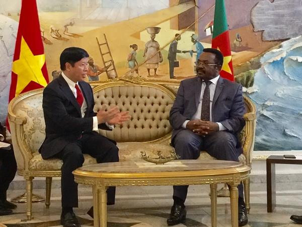 Đặc phái viên Thủ tướng thăm và làm việc tại Cộng hòa Cameroon ảnh 2