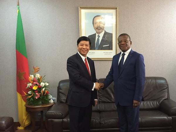 Đặc phái viên Thủ tướng thăm và làm việc tại Cộng hòa Cameroon ảnh 1