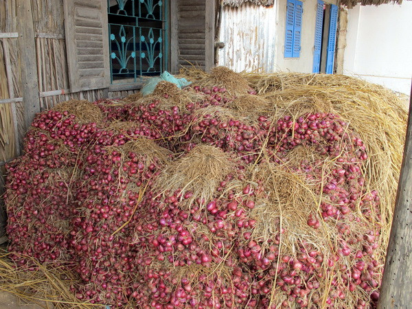 Ngành Đường sắt vận chuyển miễn phí hành tím cho nông dân ảnh 1