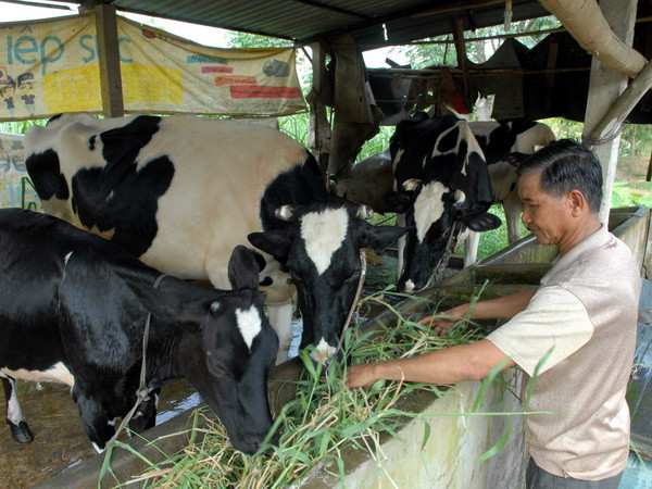 Hướng tới xây dựng chương trình giảm nghèo bền vững, hiệu quả ảnh 1
