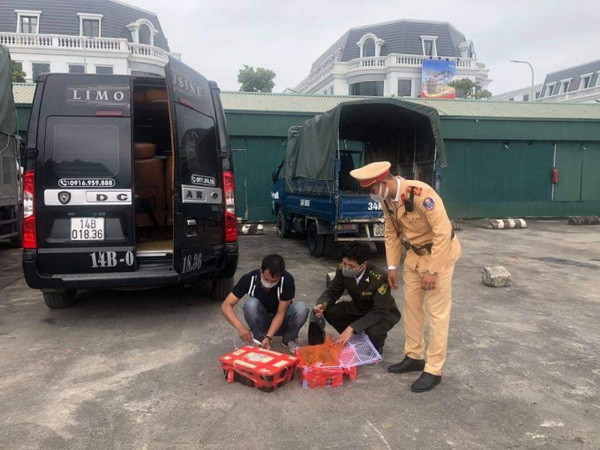 Quảng Ninh: Phát hiện vụ vận chuyển 207 cá thể rùa không rõ nguồn gốc ảnh 1