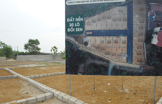 Định hướng phát triển quy hoạch kiến trúc nông thôn Việt Nam ảnh 2