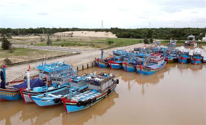 Quảng Bình quyết liệt chống khai thác thủy sản trái phép ảnh 2