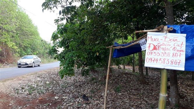 Nhiều người ôm nợ vì 'lướt sóng đất' khu sân bay ở Bình Phước ảnh 2